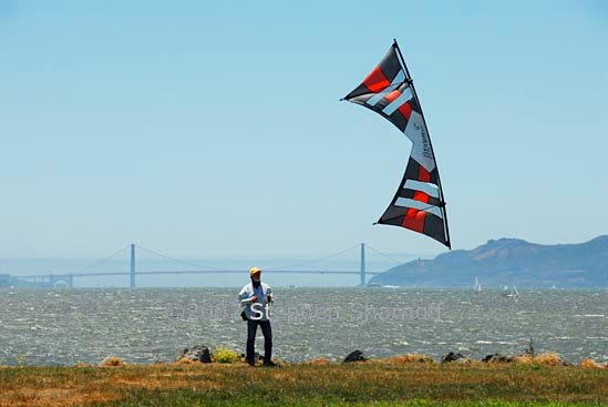 man and kite 1 graphic